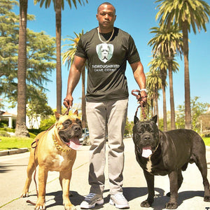 Cuban Gold Collar - Bad MoFo Dogsproduct_name 16" - Cuban Chain | Bad MoFo Dogs