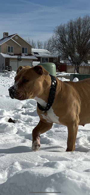 Cuban Matte Black - Bad MoFo Dogsproduct_name 16" - Cuban Chain | Bad MoFo Dogs