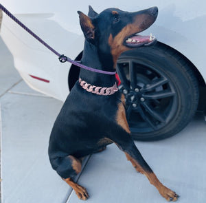 Cuban Pink Collar - Bad MoFo Dogsproduct_name 16" - Cuban Chain | Bad MoFo Dogs