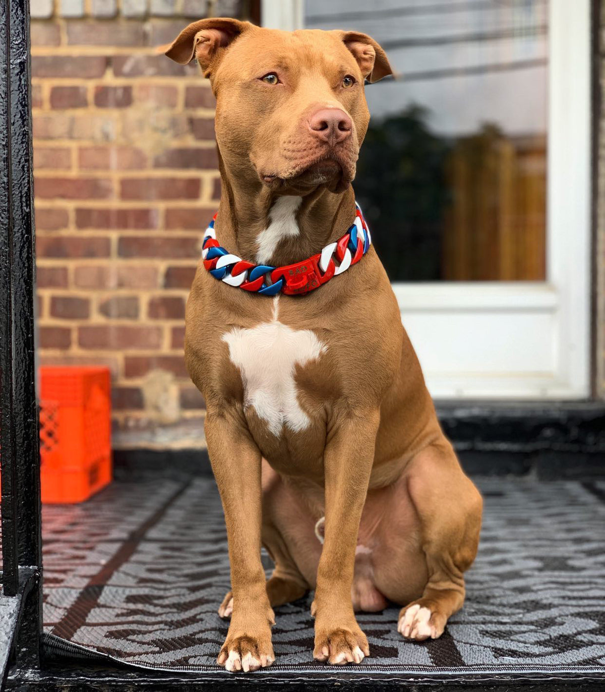 Cuban USA Collar - FINAL SALE No refunds or exchanges.