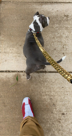 Cuban link leash best sale