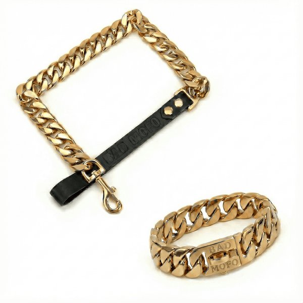 Gold Cuban Dog Collar + Leash Bundle