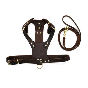 Handcraft Leather Dog Harness - Bad MoFo Dogsproduct_name S/M - 23.5 - 28" - | Bad MoFo Dogs